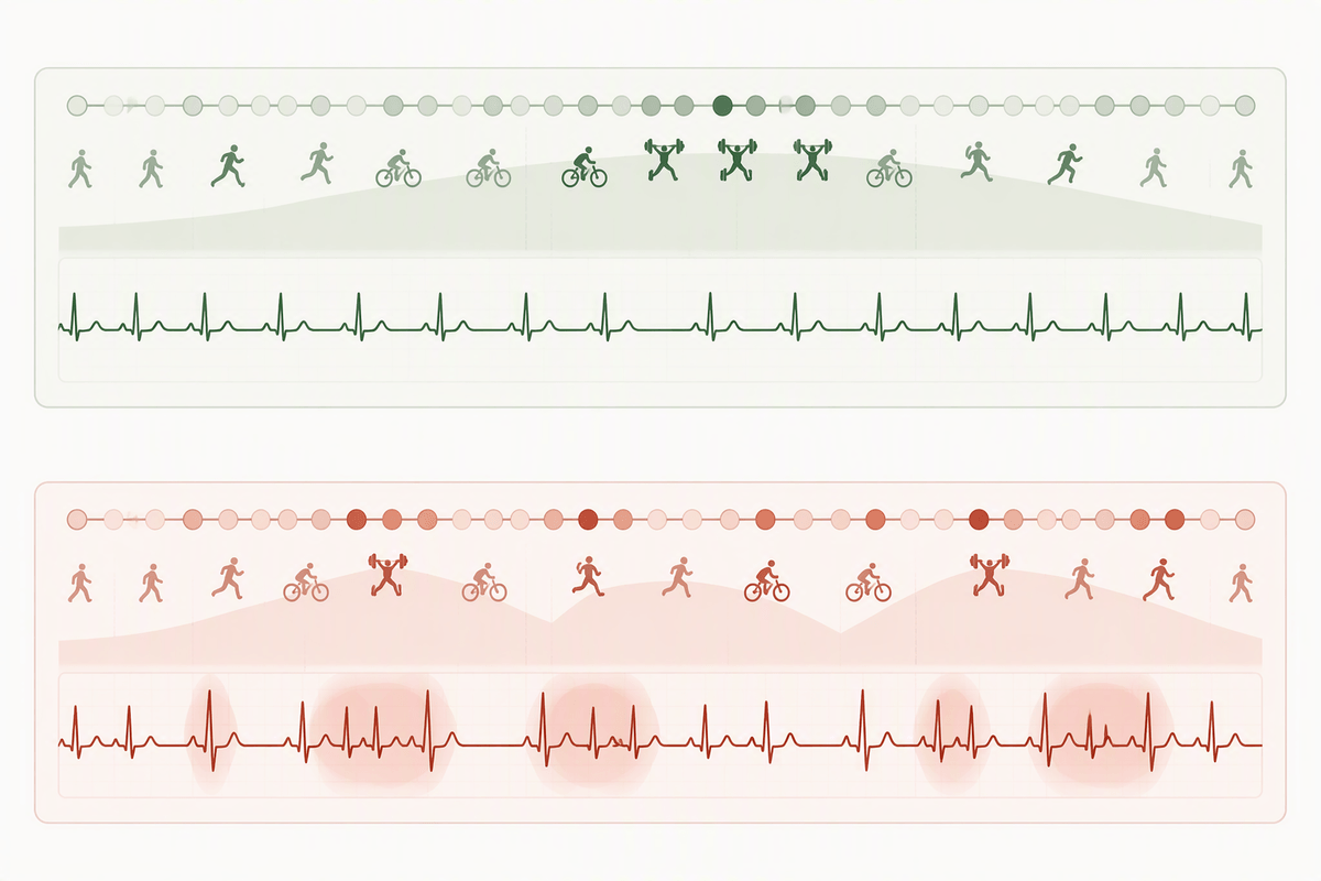 Athlete’s heart adaptations versus early warning signals